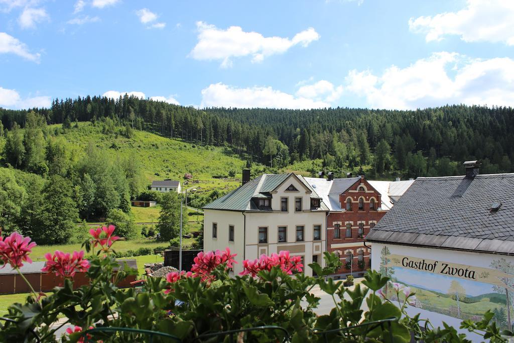 Landhotel Gasthof Zwota Клингентал Екстериор снимка